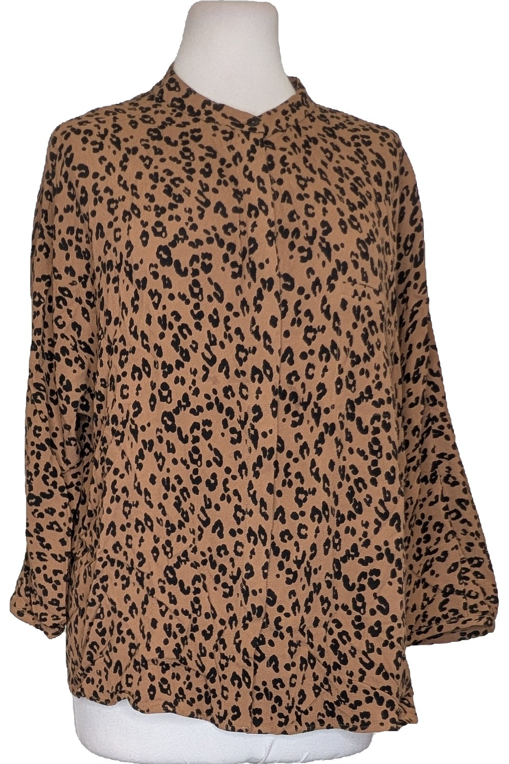 113073 - Photo