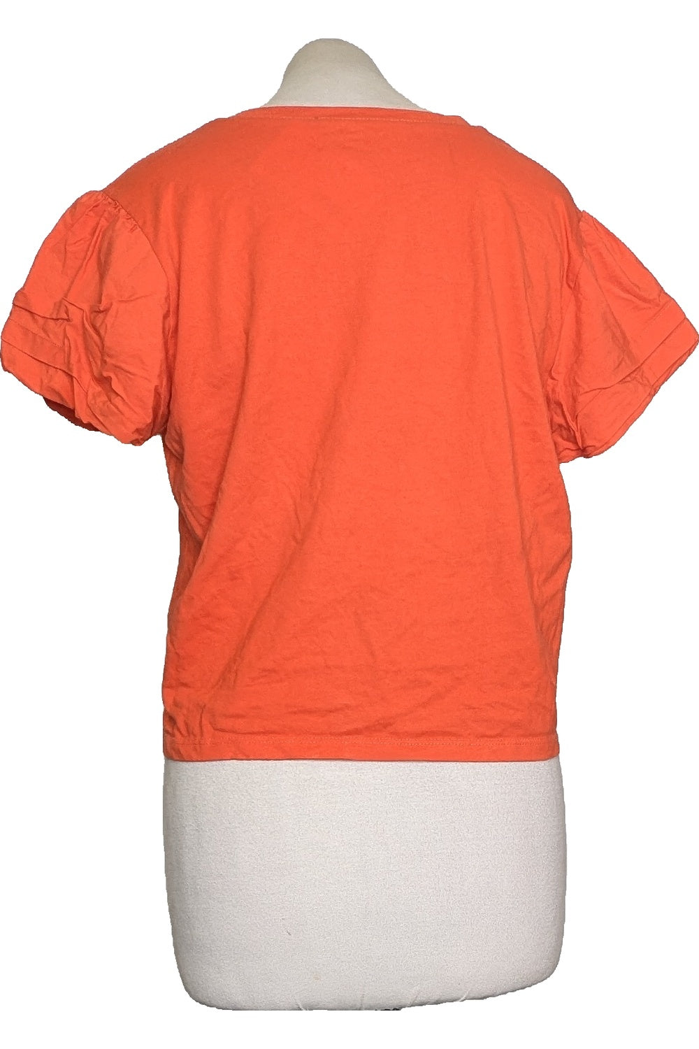 113524 - Photo
