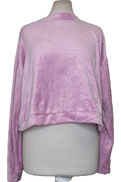 113700 - Photo