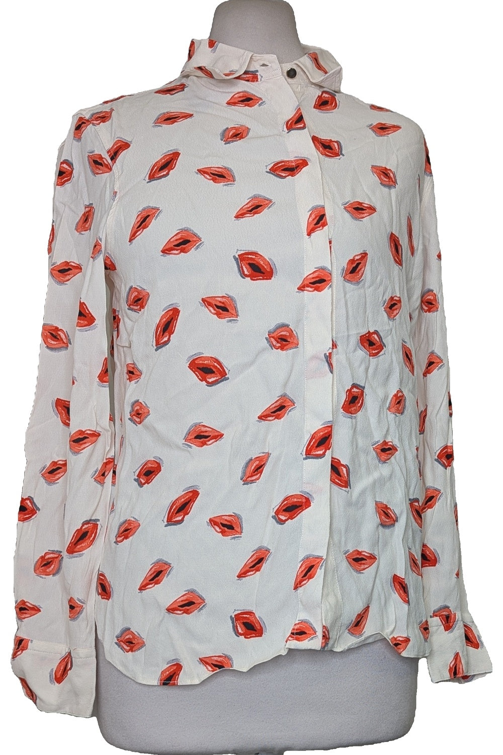113925 - Photo