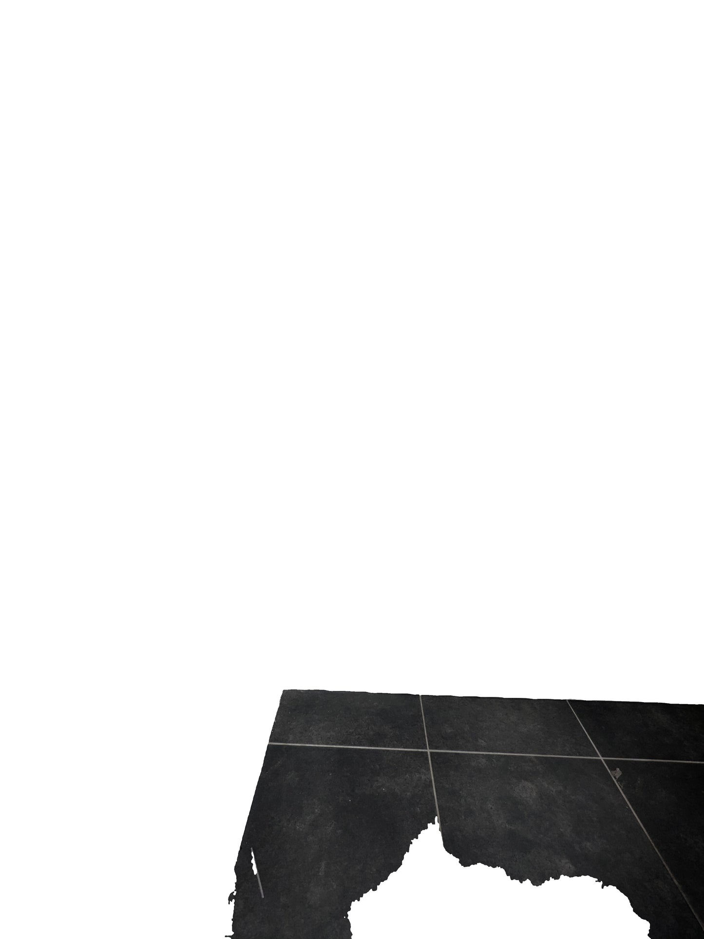 115331 - Photo