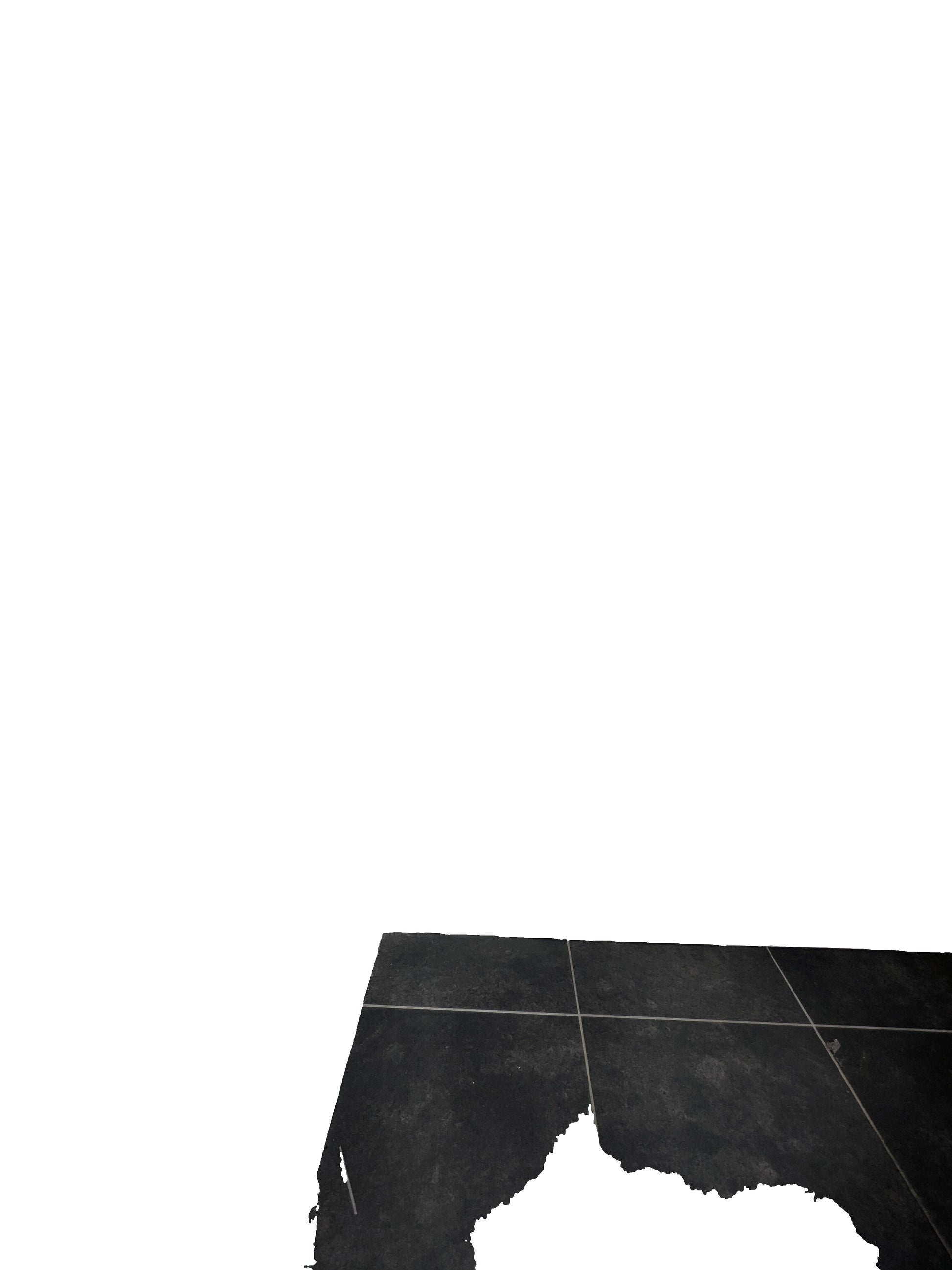 115331 - Photo