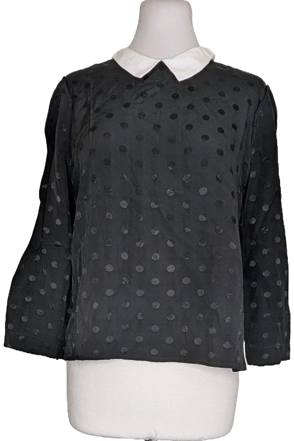 115610 - Photo