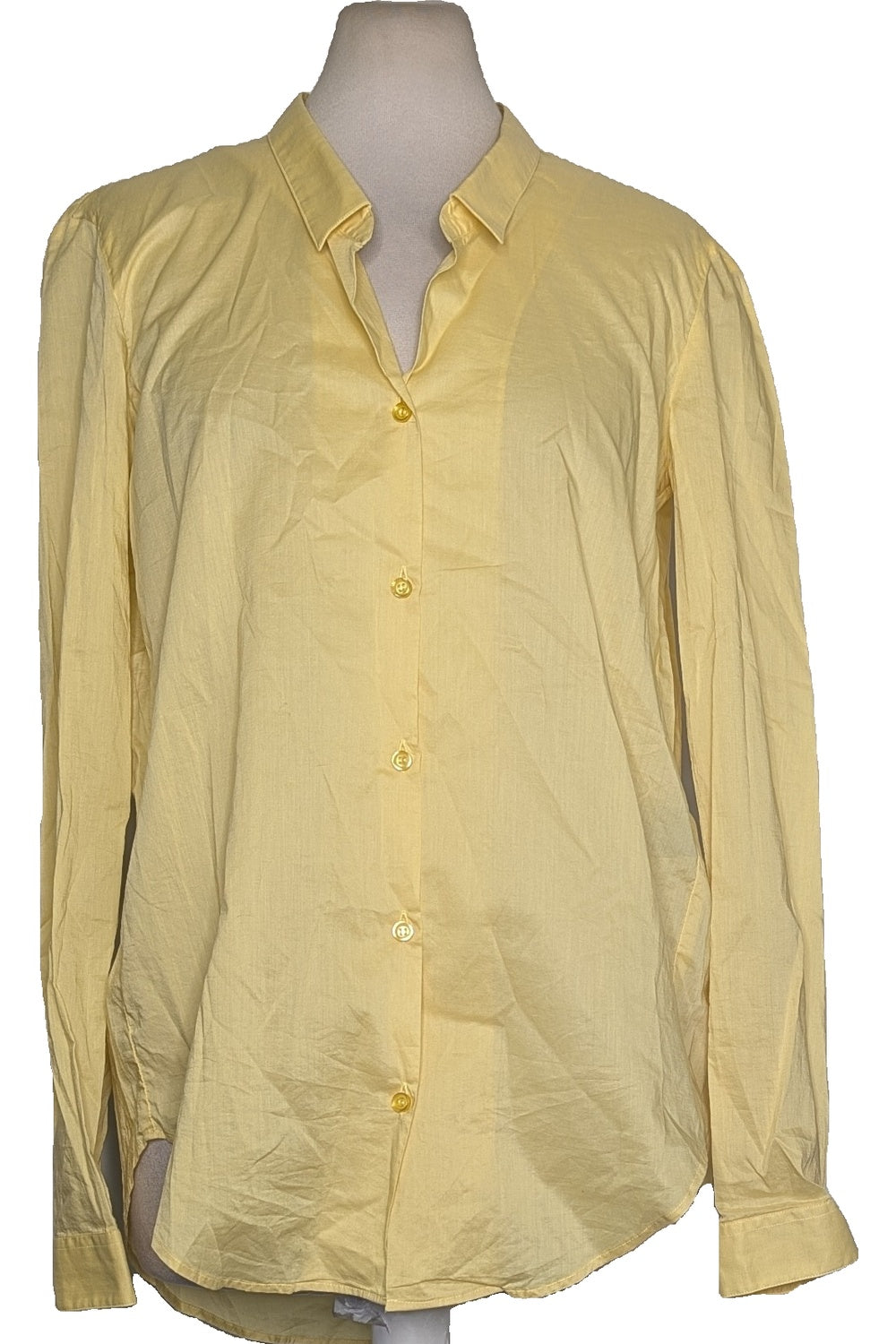 116308 - Photo