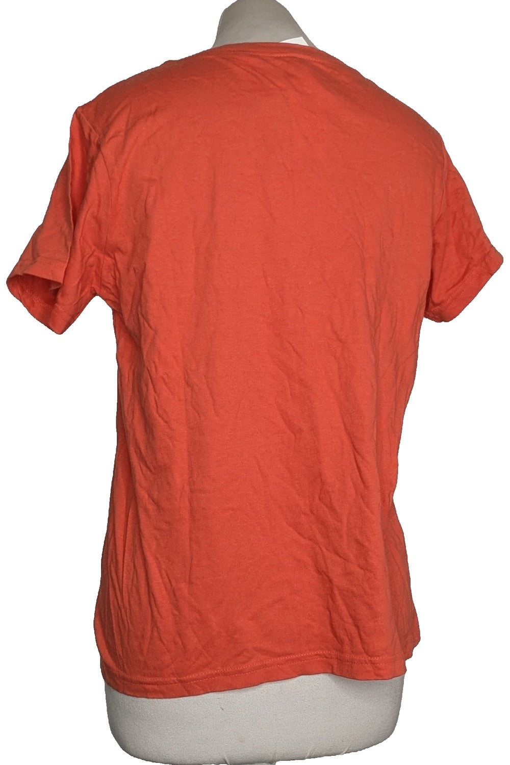 116335 - Photo