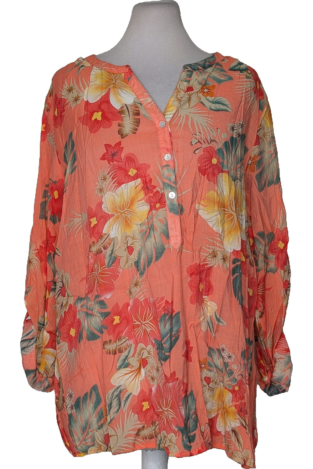 116486 - Photo