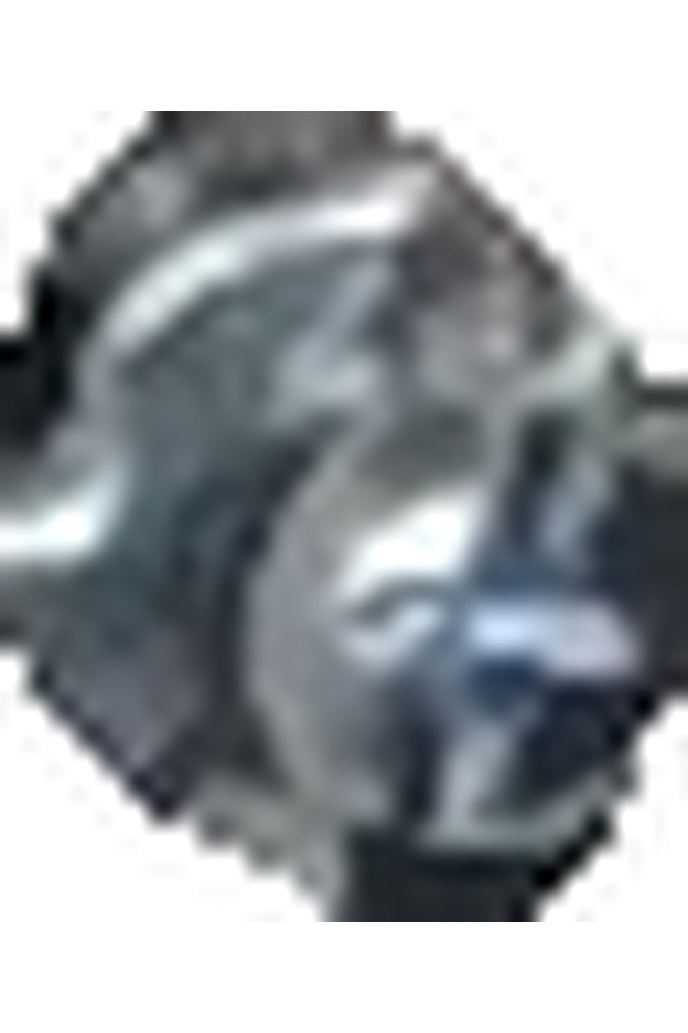 116561 - Photo