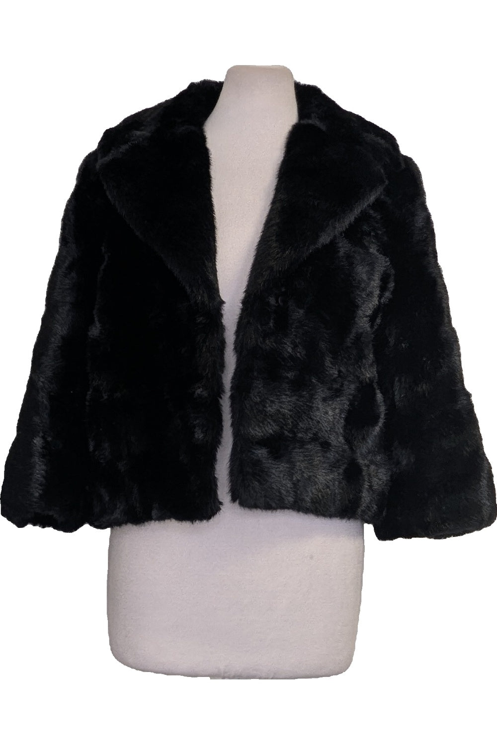 117844 - Photo