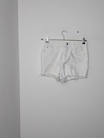 118640 - Photo