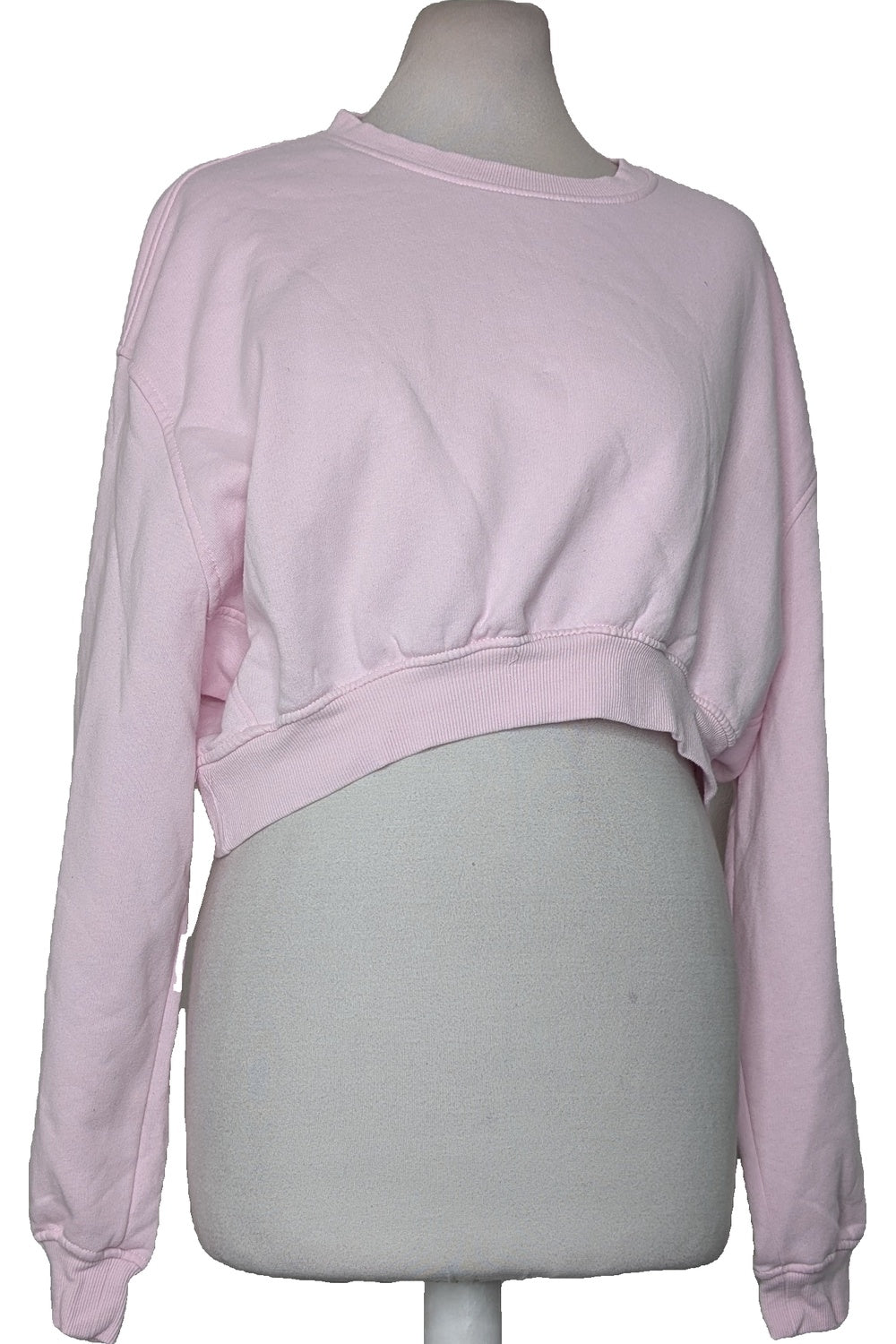 118647 - Photo