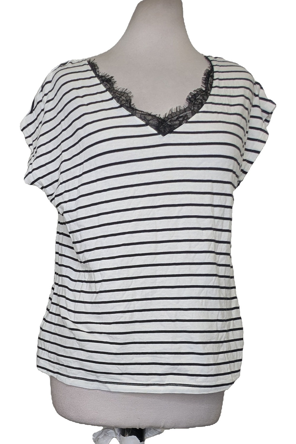 119303 - Photo