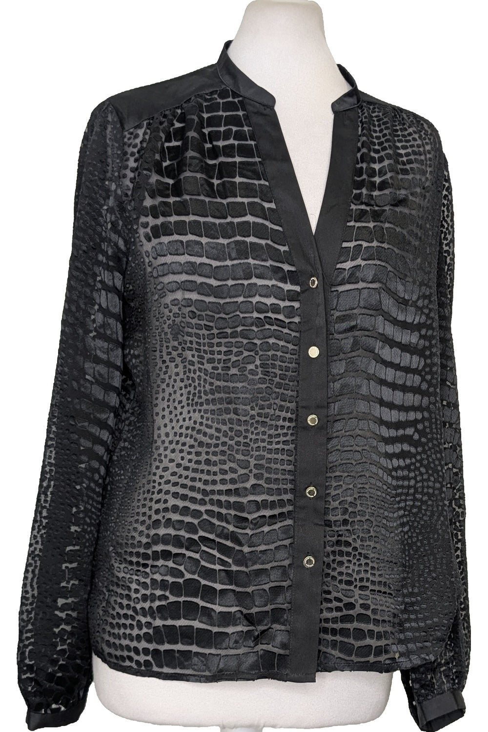 119536 - Photo