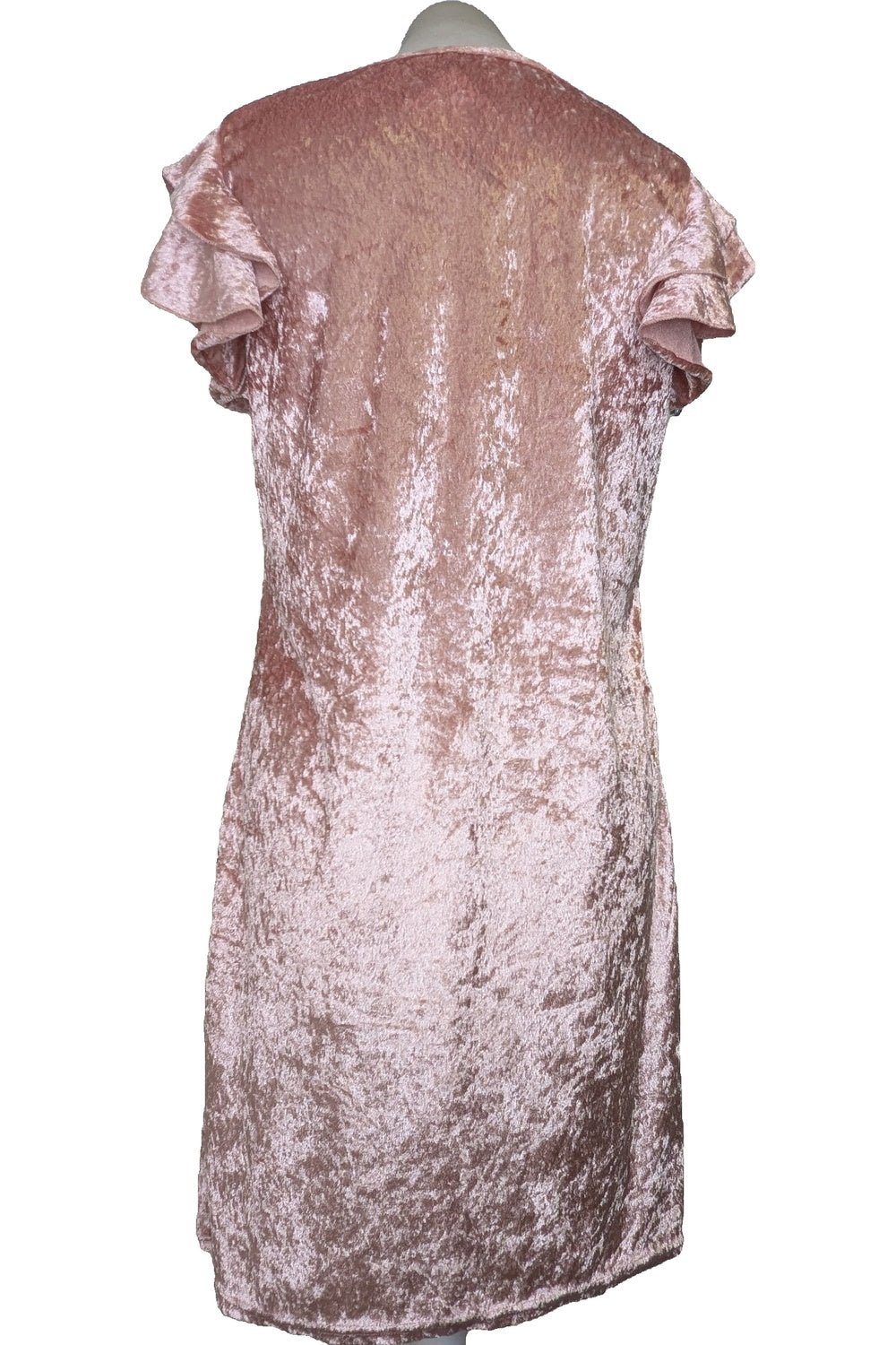 119778 - Photo