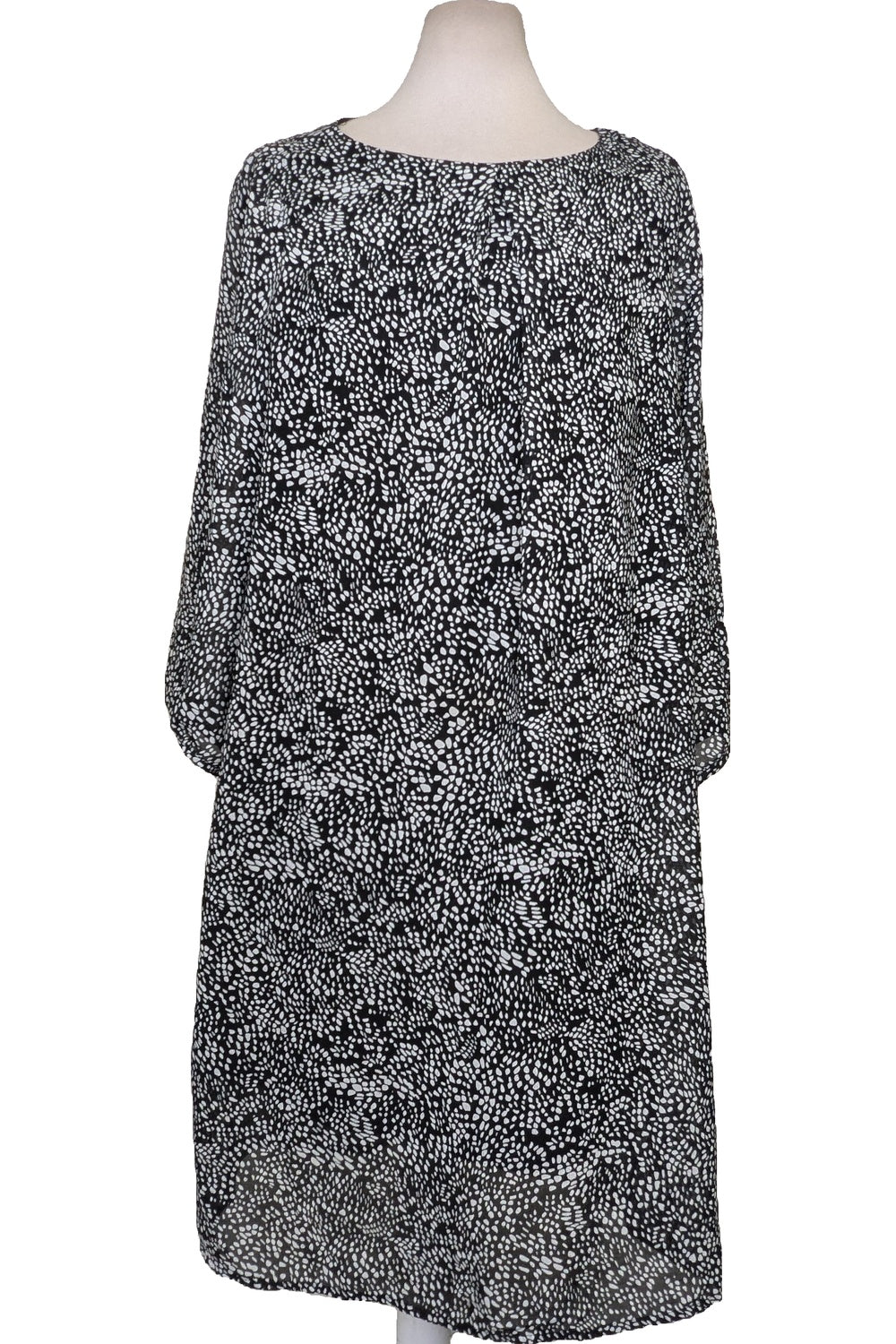 119779 - Photo