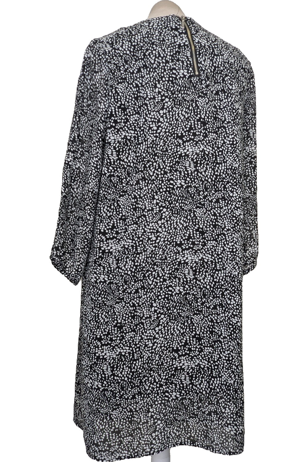 119779 - Photo