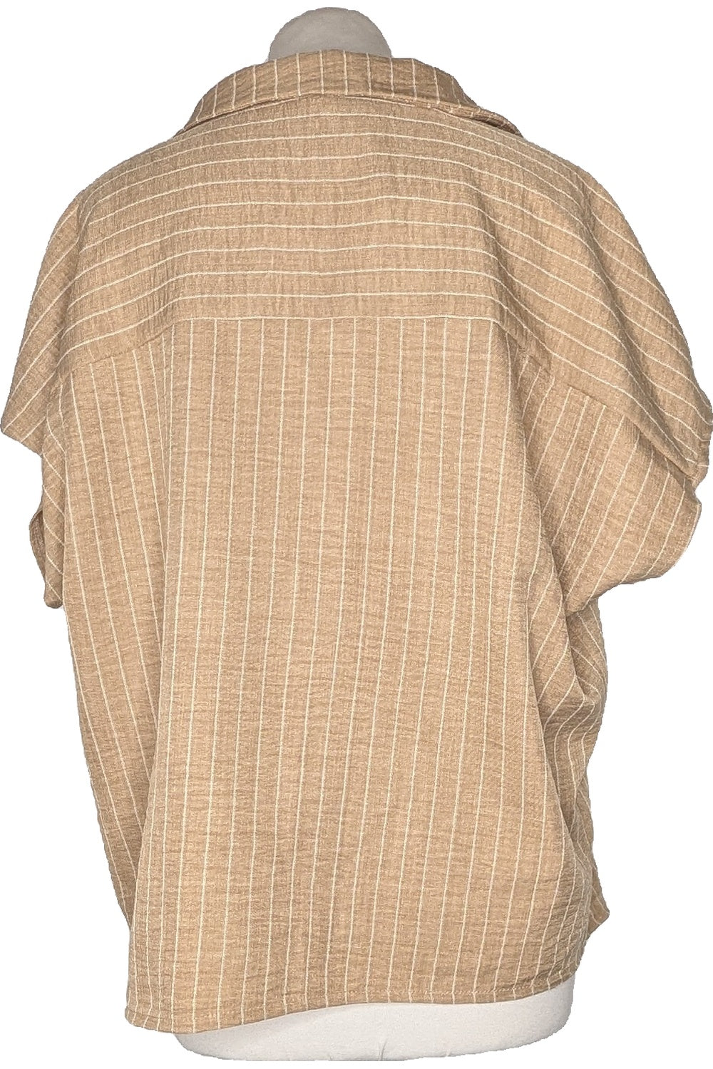 120198 - Photo