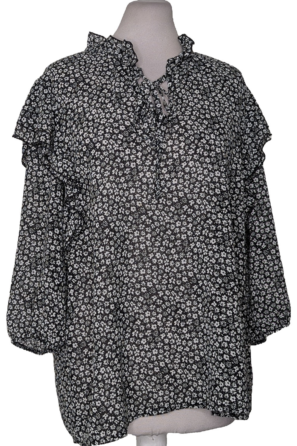 121987 - Photo