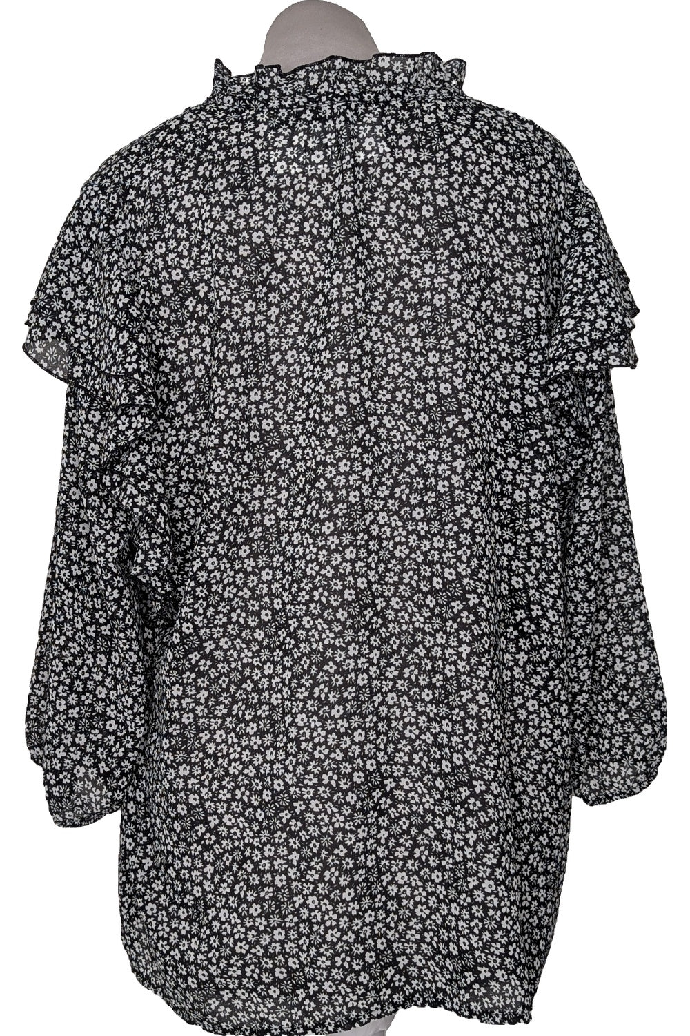 121987 - Photo