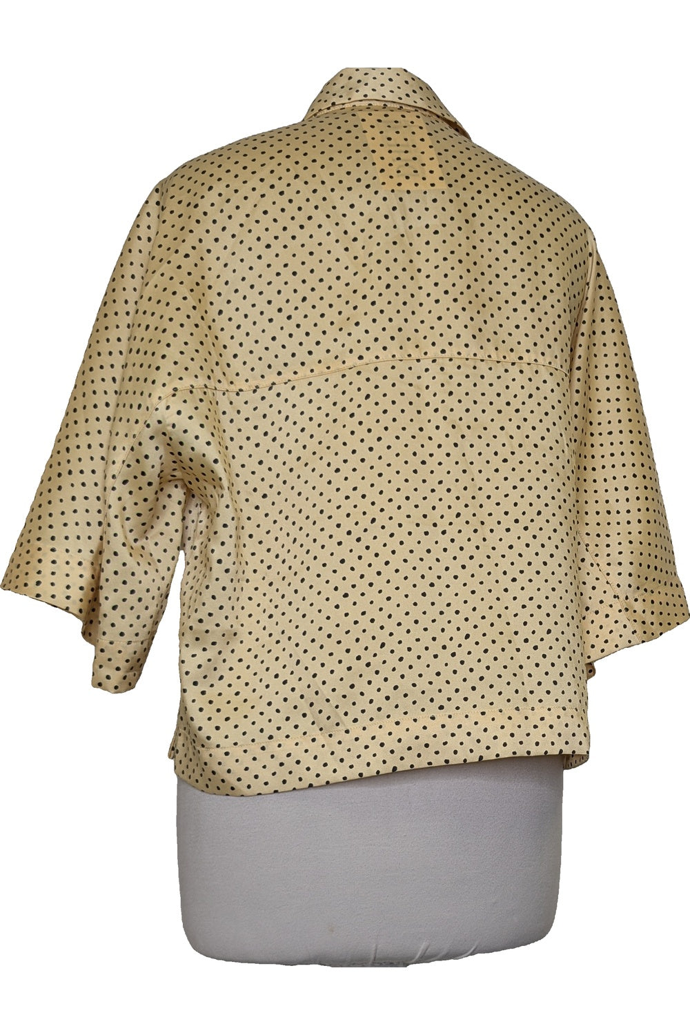 122769 - Photo