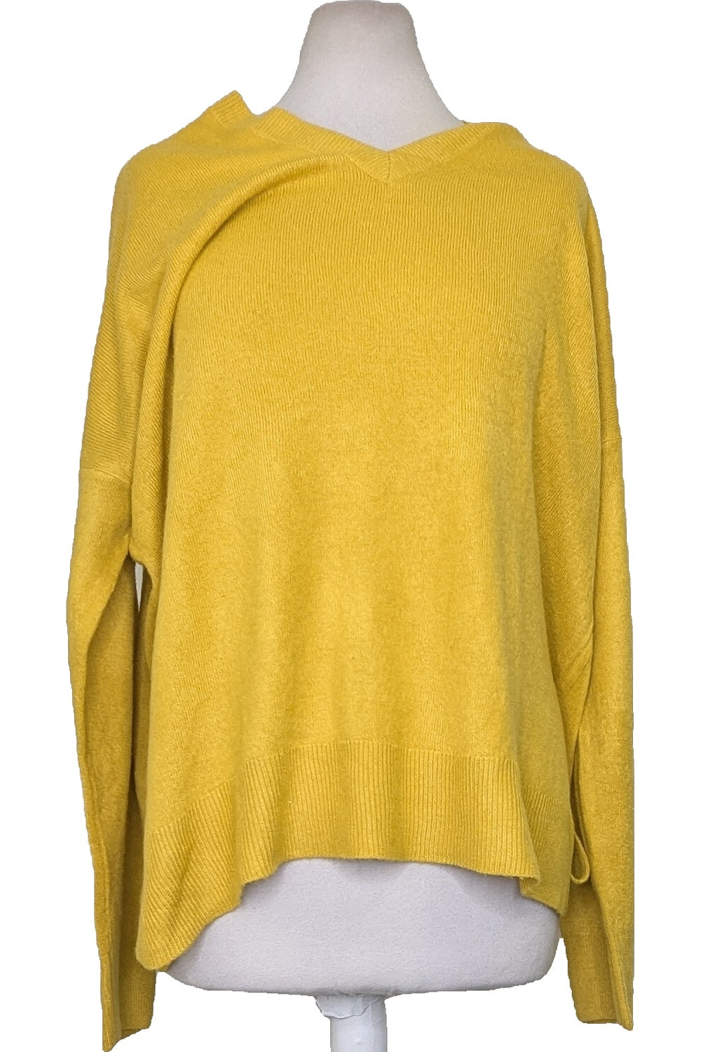 122961 - Photo