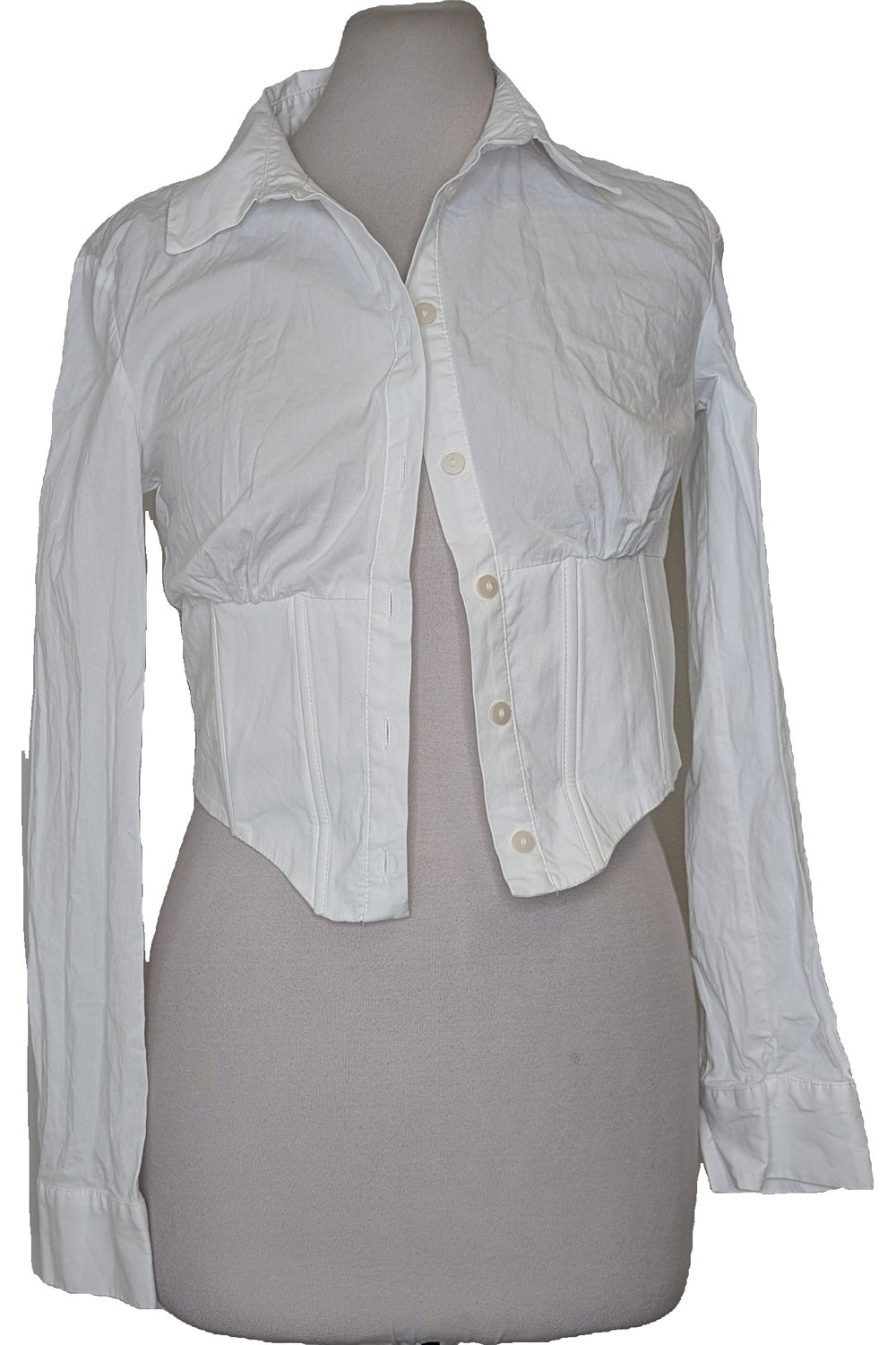 123179 - Photo