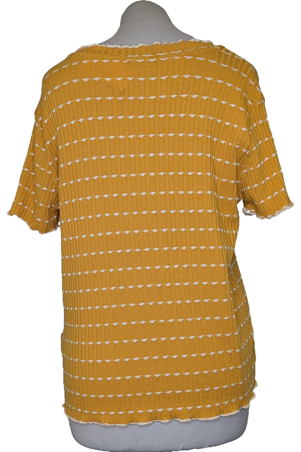 123185 - Photo