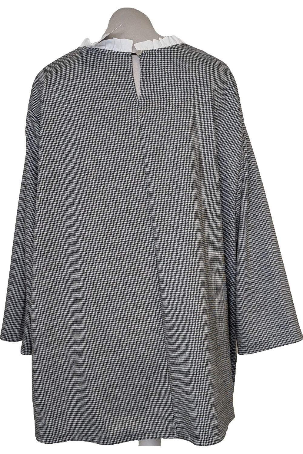 123283 - Photo