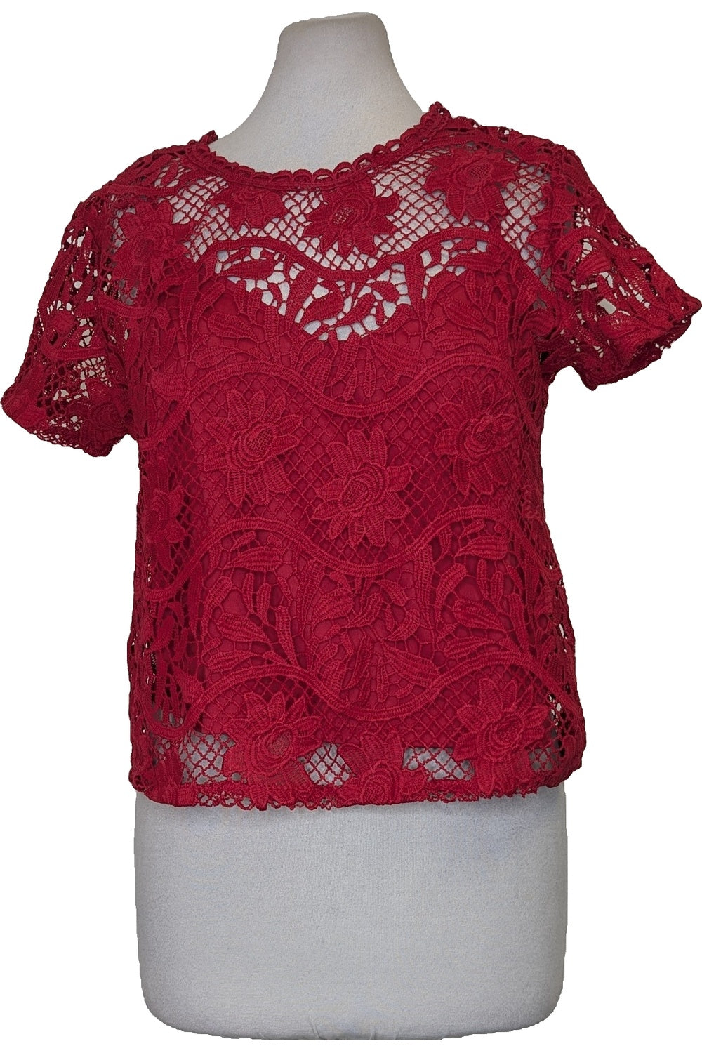 123484 - Photo