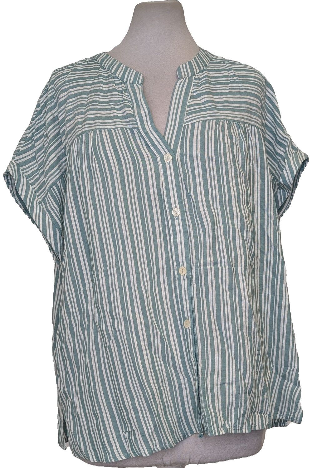 123507 - Photo