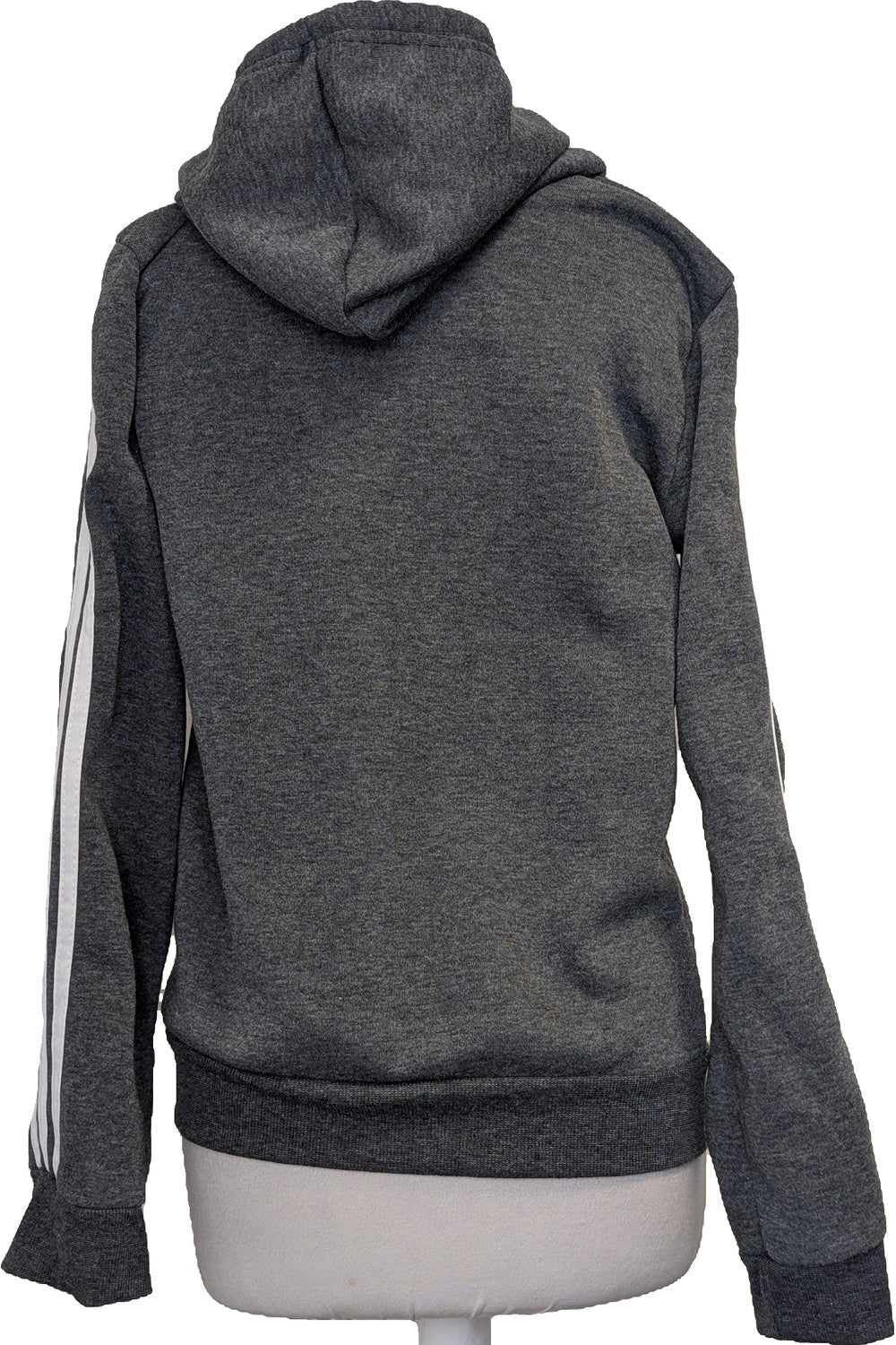 123551 - Photo