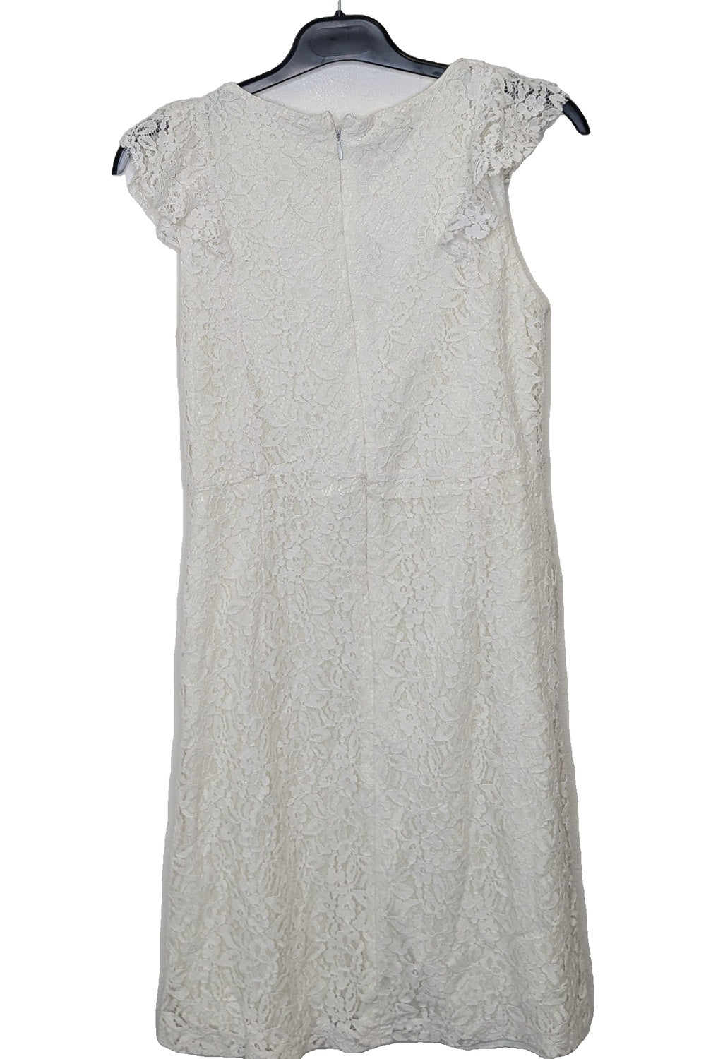123627 - Photo