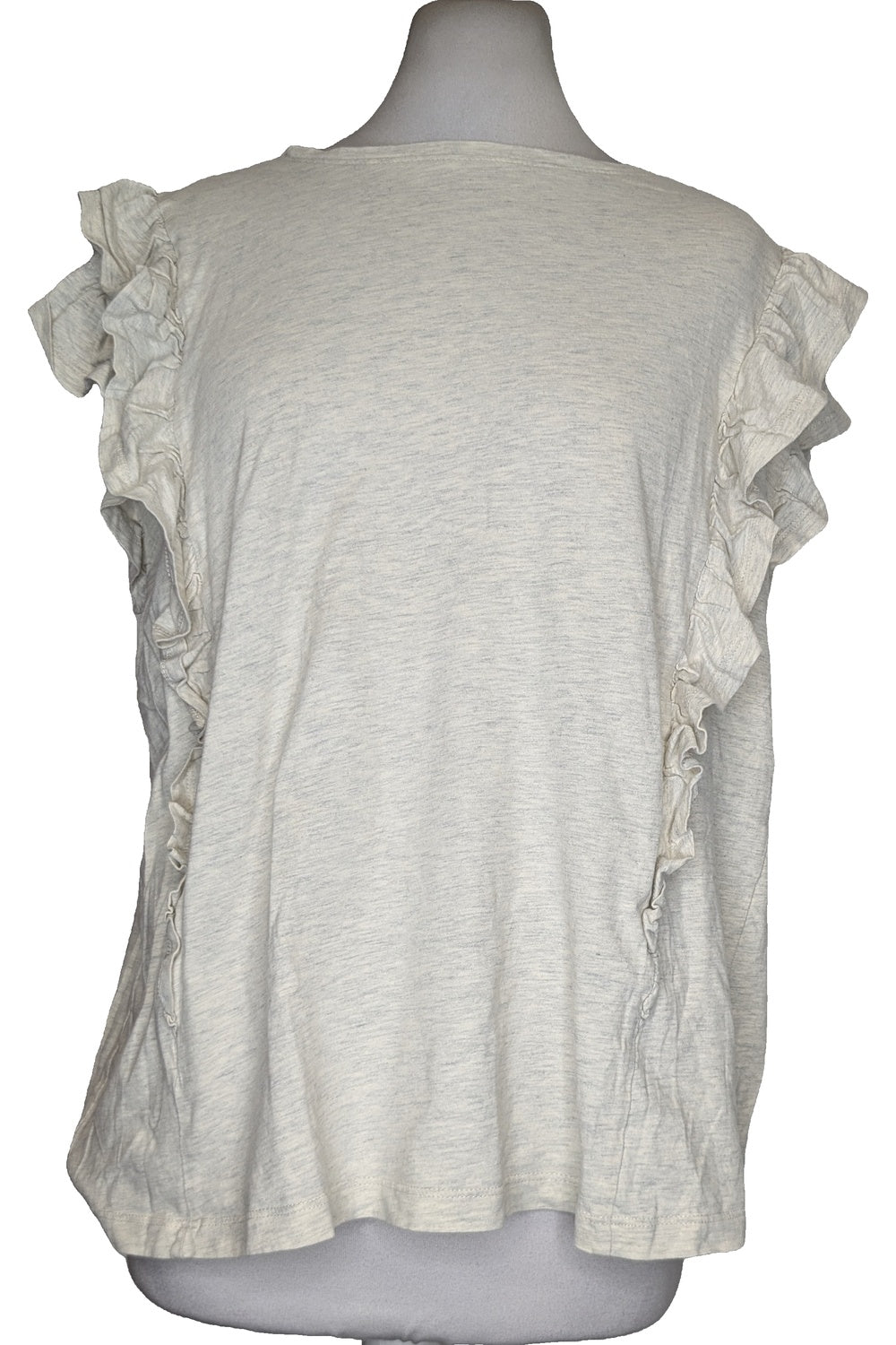 123681 - Photo
