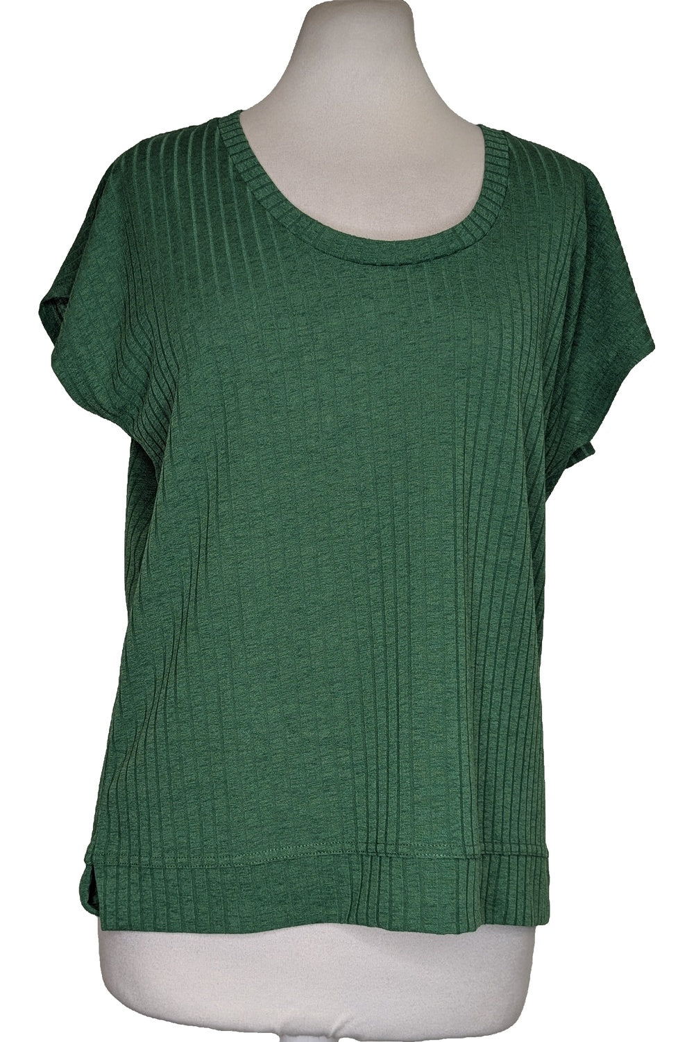 123716 - Photo