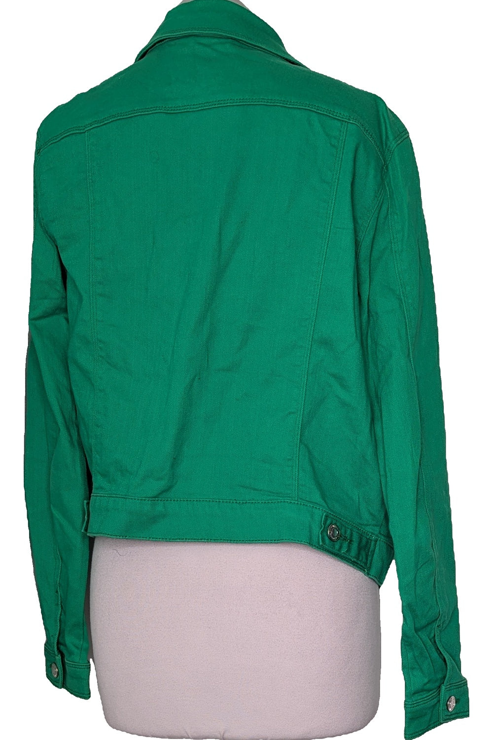 123748 - Photo