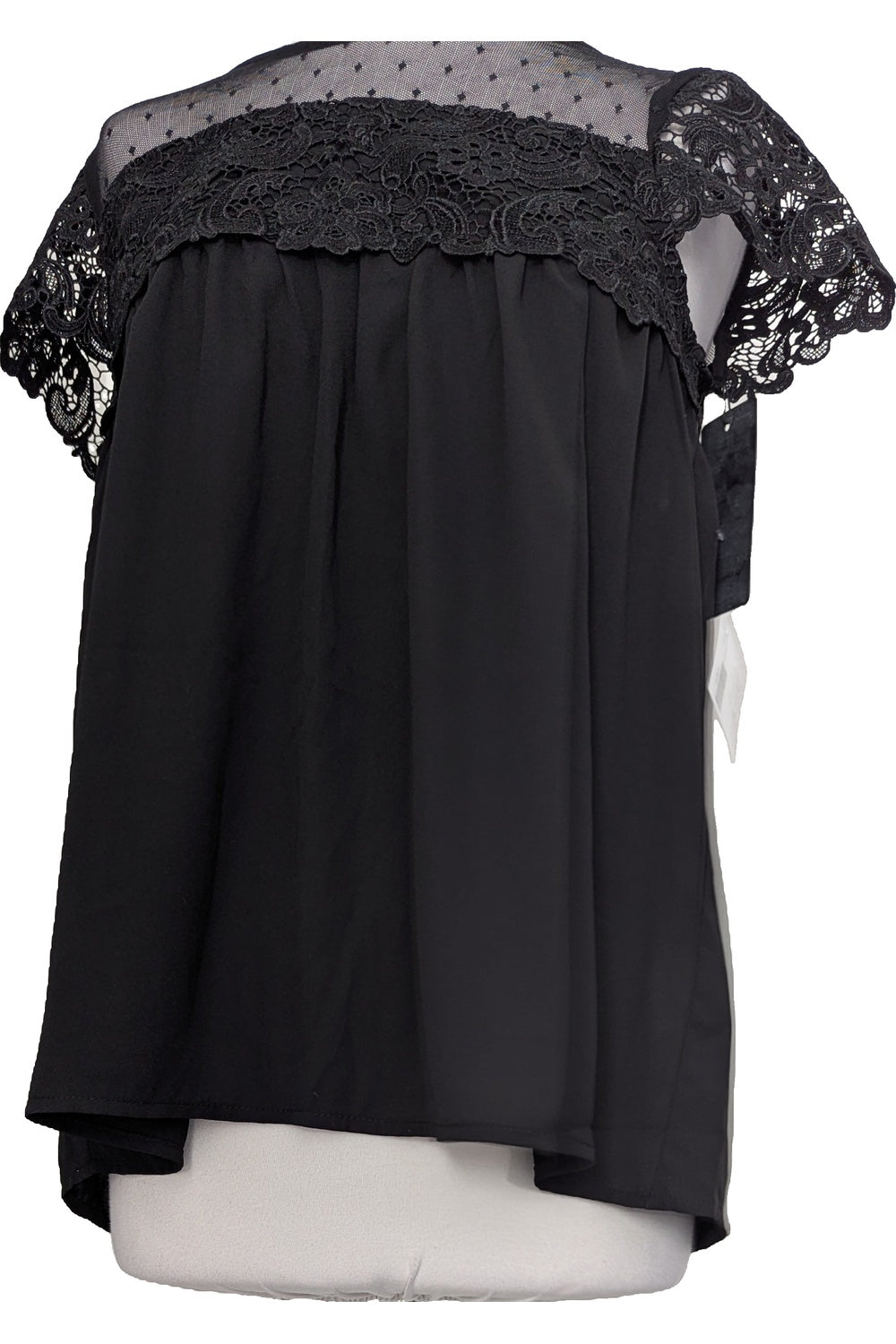 123818 - Photo