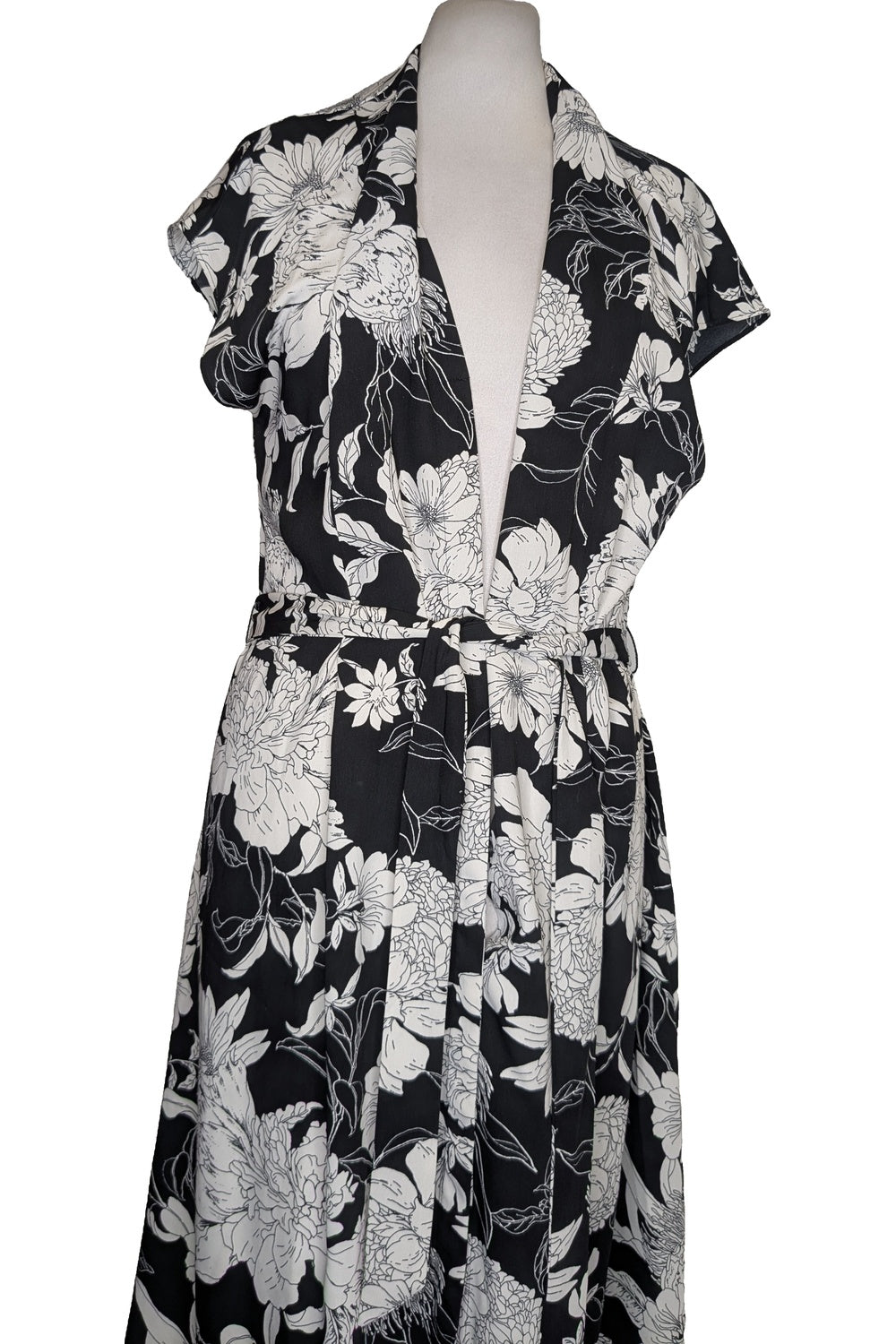 123976 - Photo