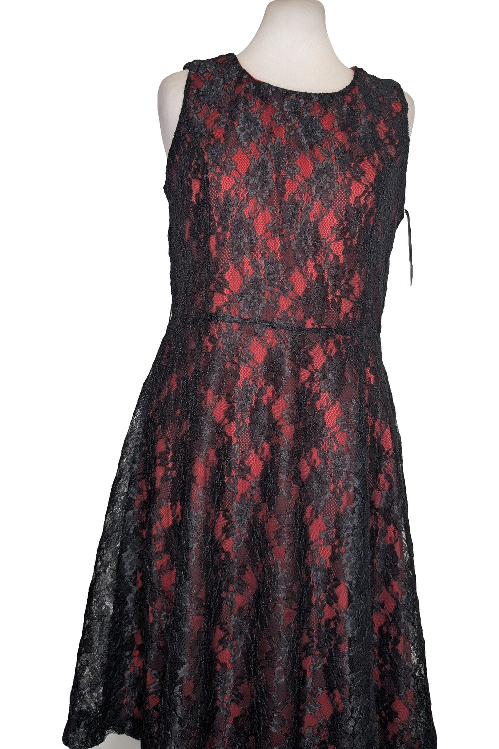 123987 - Photo