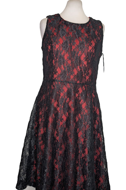 123987 - Photo