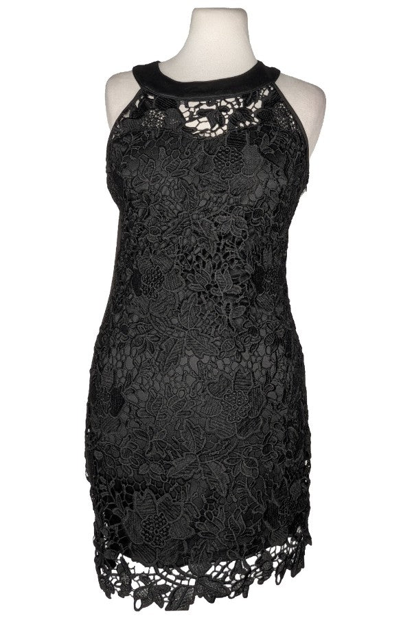 124324 - Photo