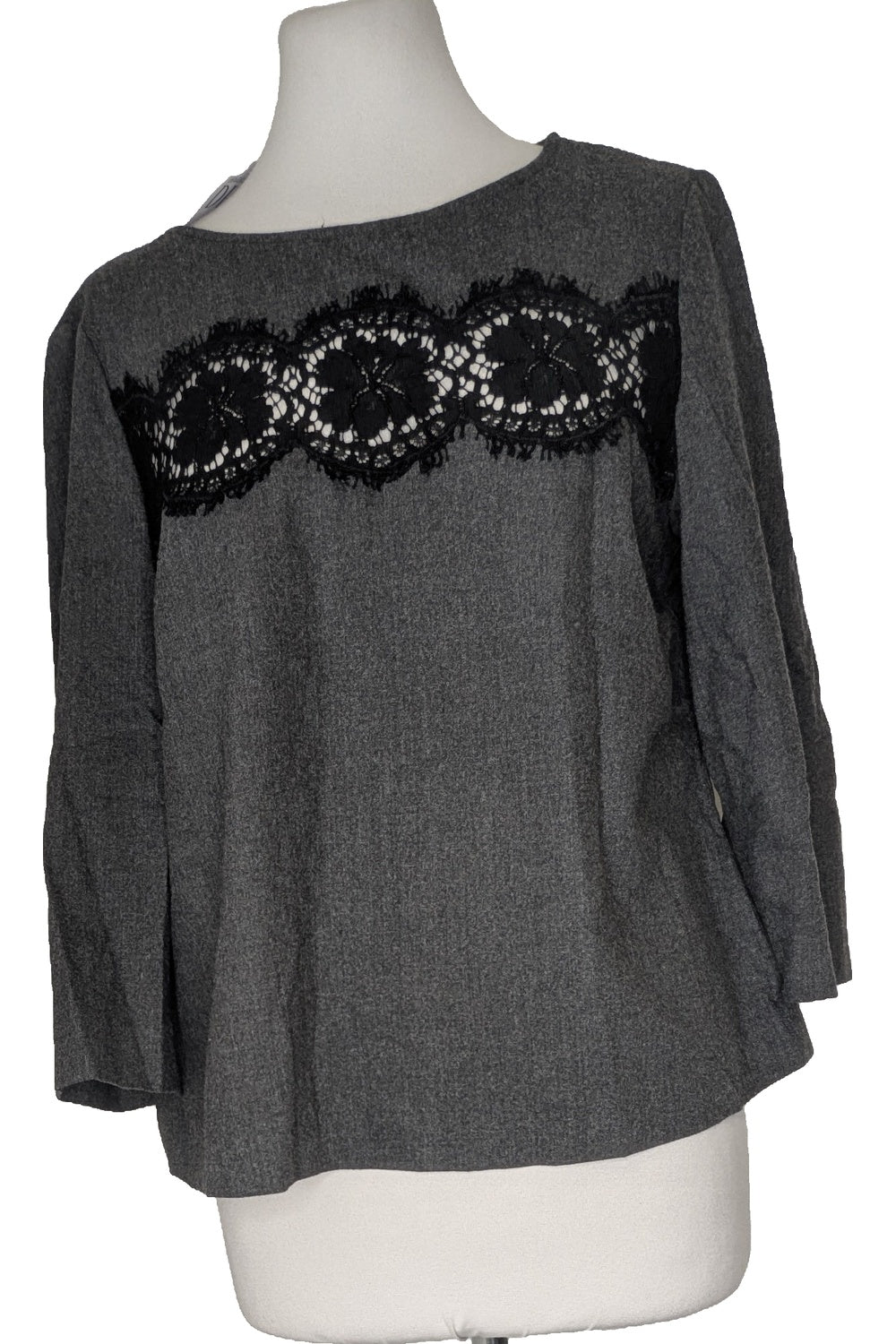 124537 - Photo