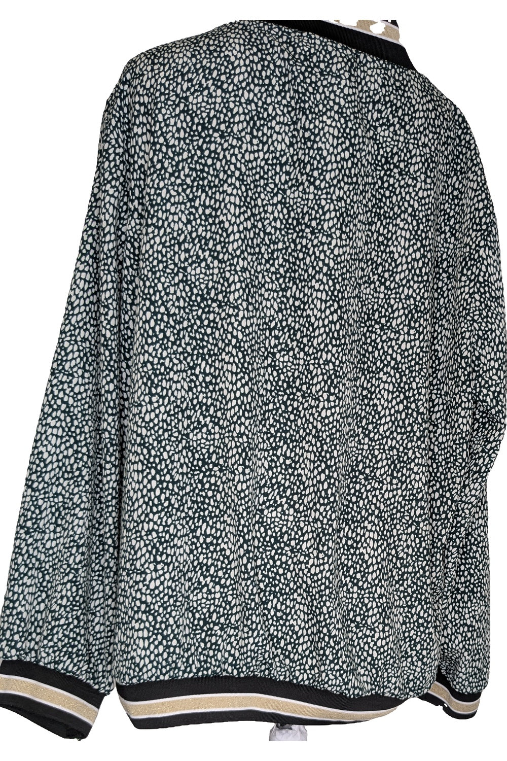 124639 - Photo