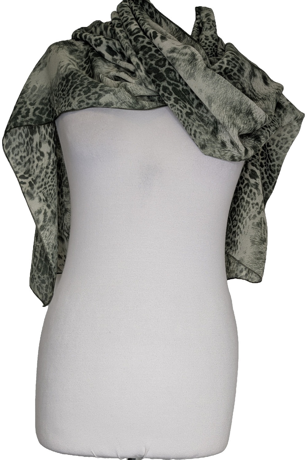 124658 - Photo