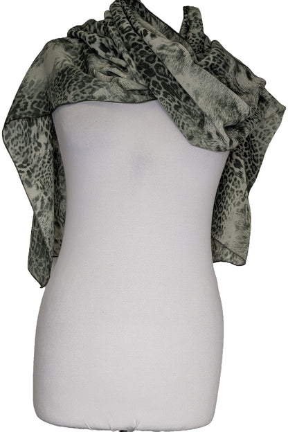 124658 - Photo