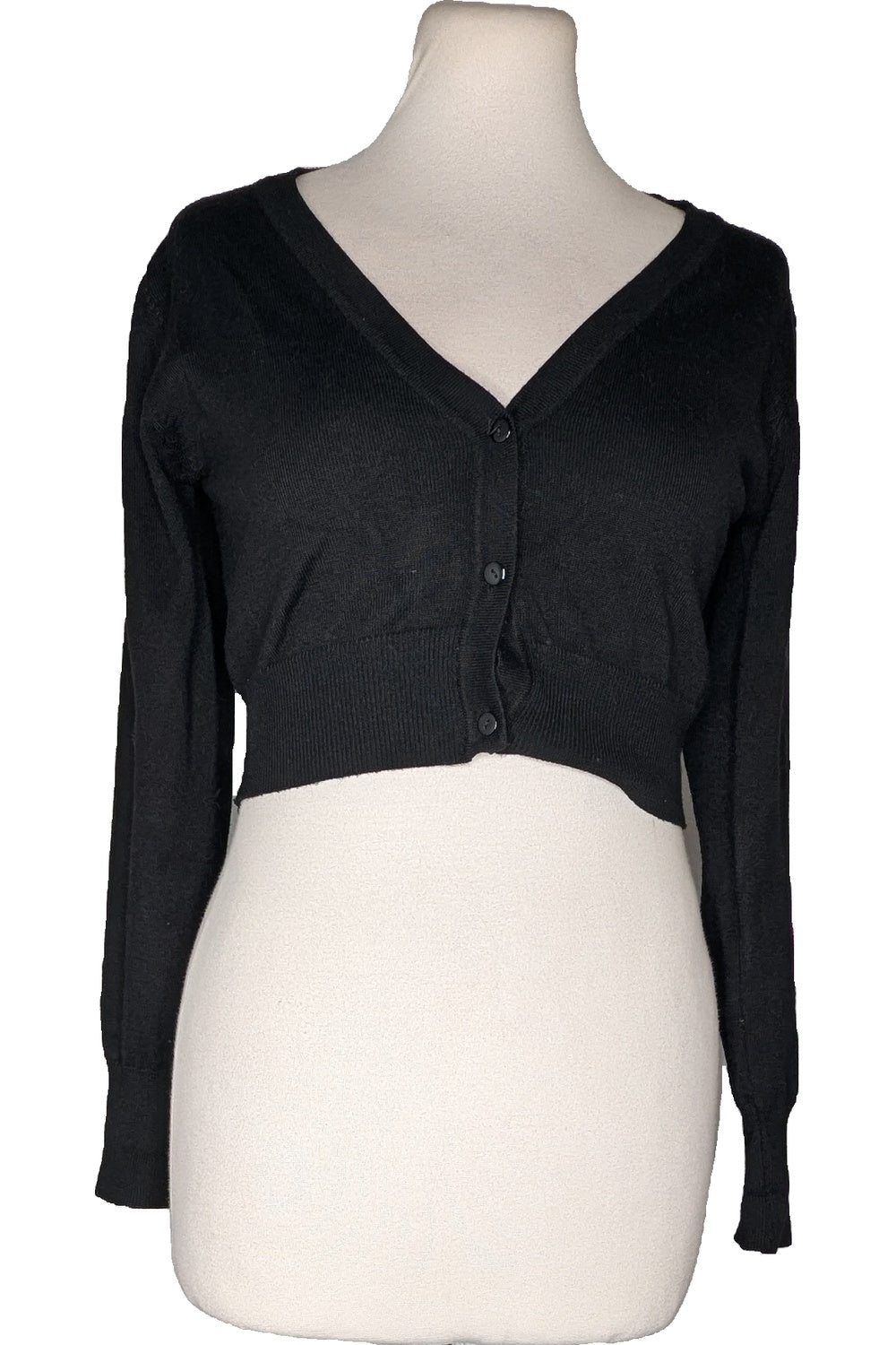 124919 - Photo