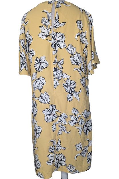 125813 - Photo