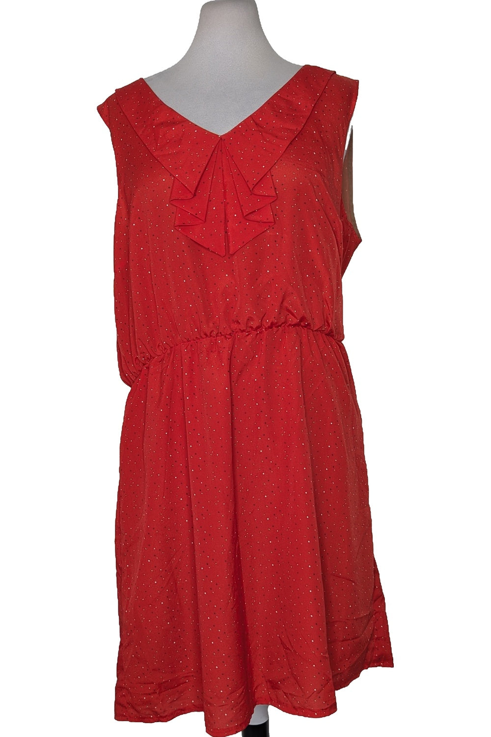 125998 - Photo