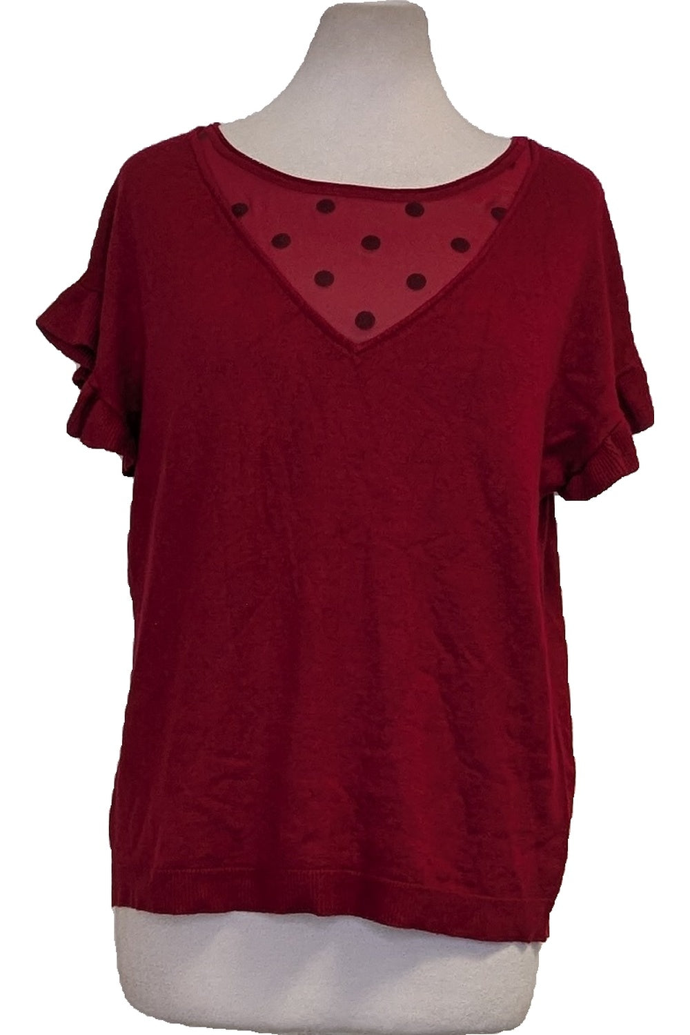 126130 - Photo