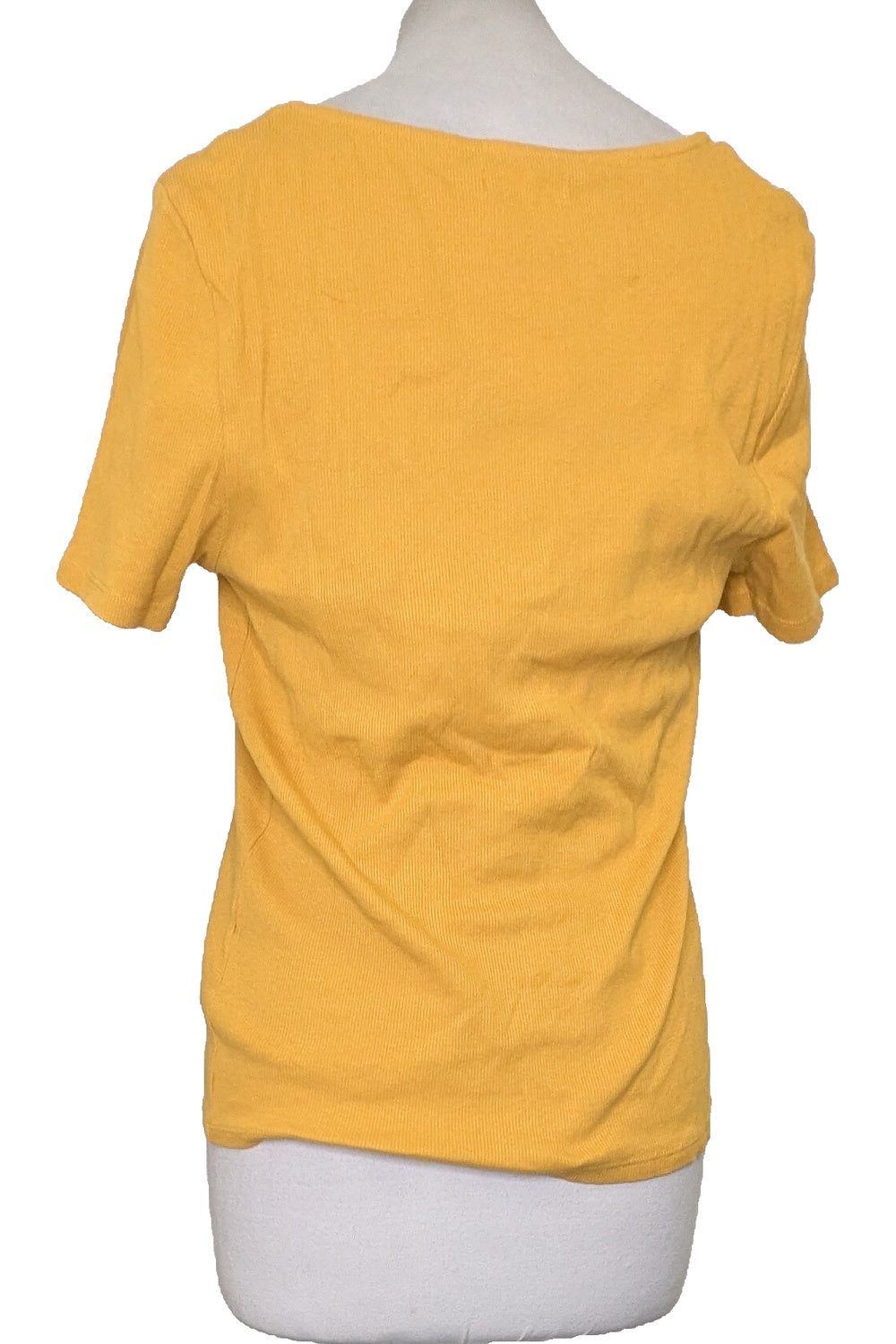 126342 - Photo