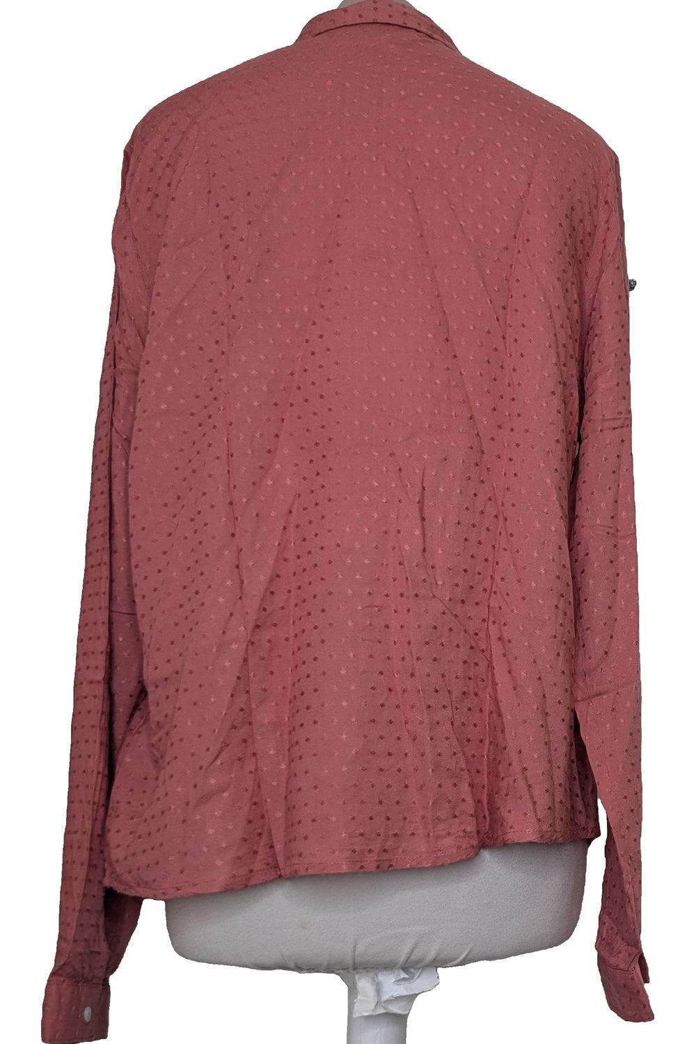 126496 - Photo