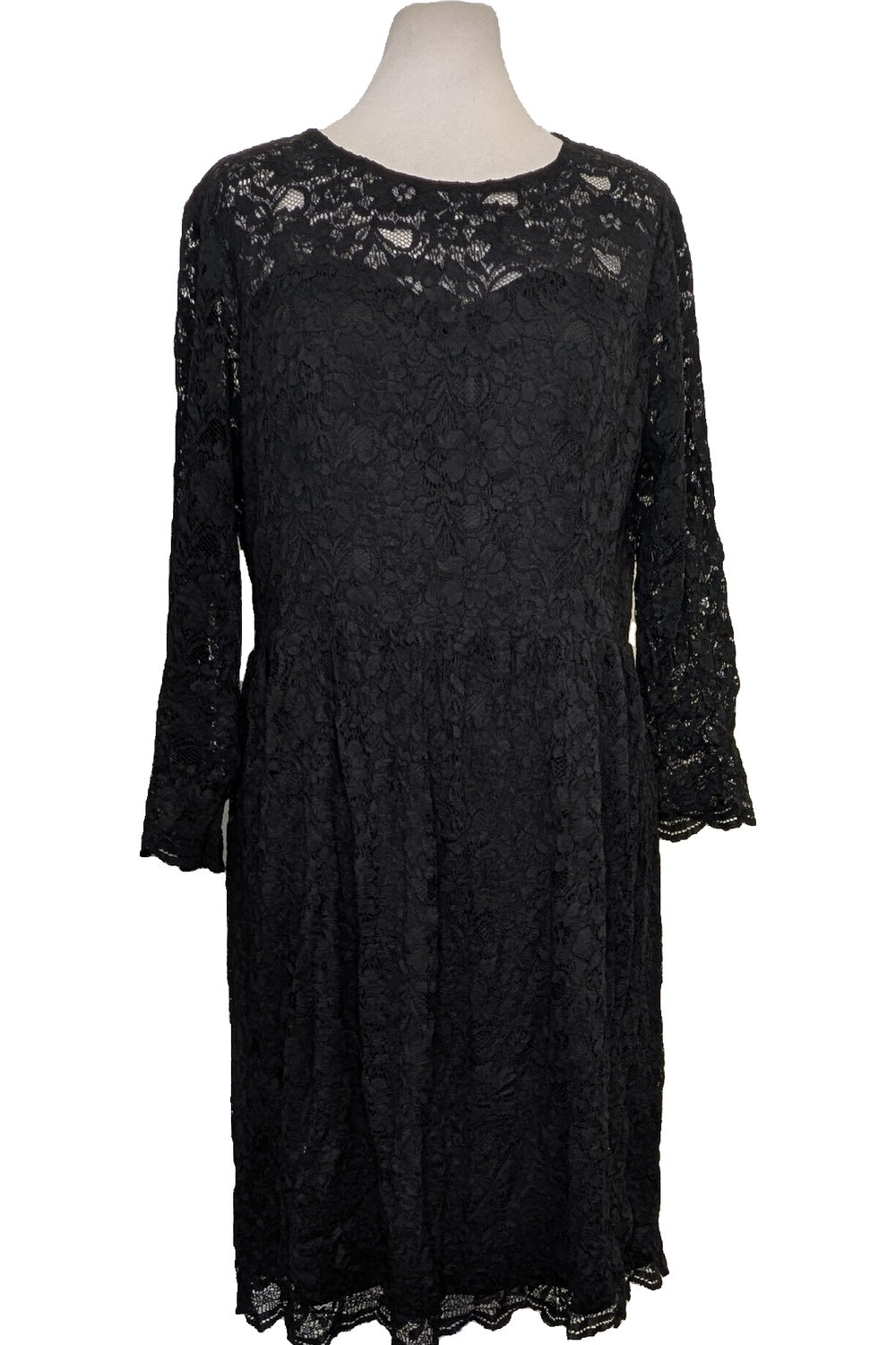 126807 - Photo